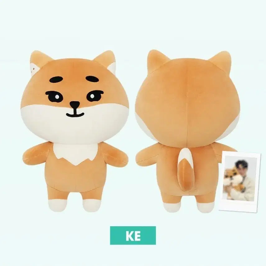 [BUNJANG] DAY6 Young K Giant Denimals Photocard / 데이식스 자데멀 케 자이언트 데니멀즈 영케이 새상품 포카 포함