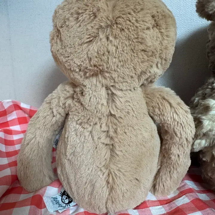 [BUNJANG] Jellycat Bashful Sloth Medium / jellycat 젤리캣 바쉬풀 슬로스 (나무늘보)