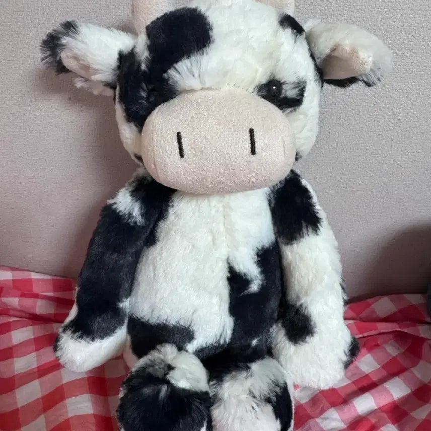 [BUNJANG] Jellycat Bashful Calf / jellycat 젤리캣 바쉬풀 카프