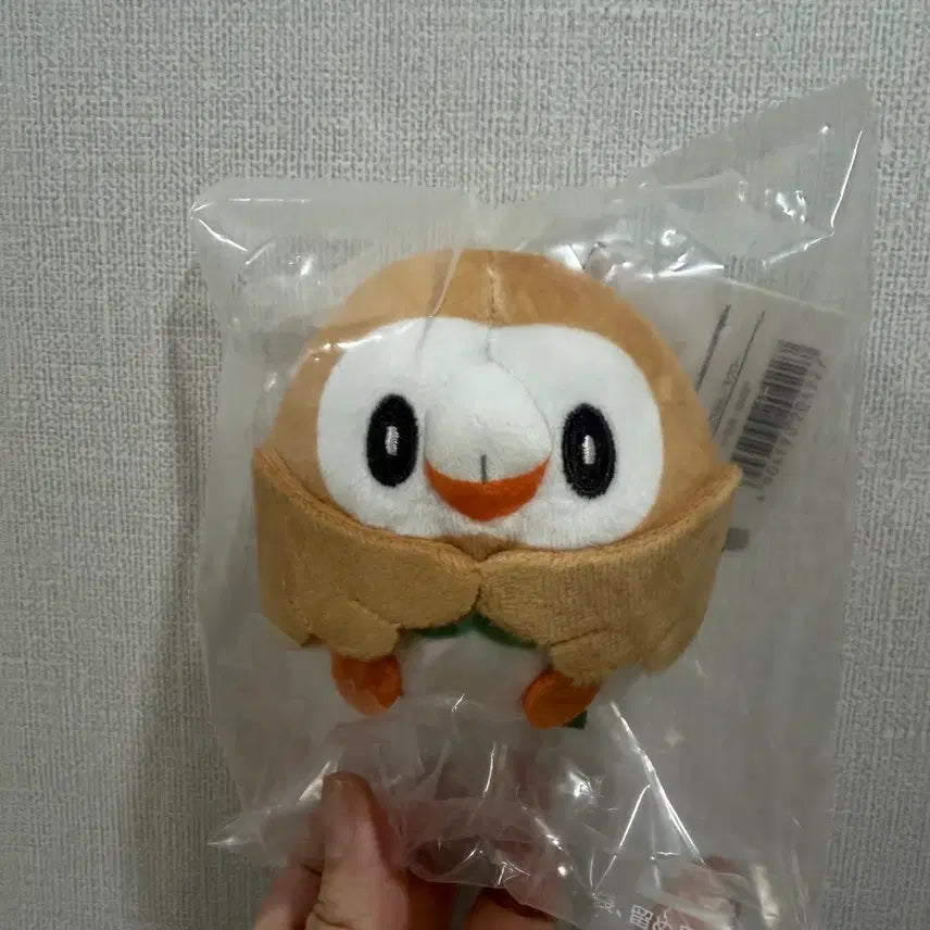 [BUNJANG] Pokemon Cyndaquil Plush Toy / 촛코리상 나몰빼미