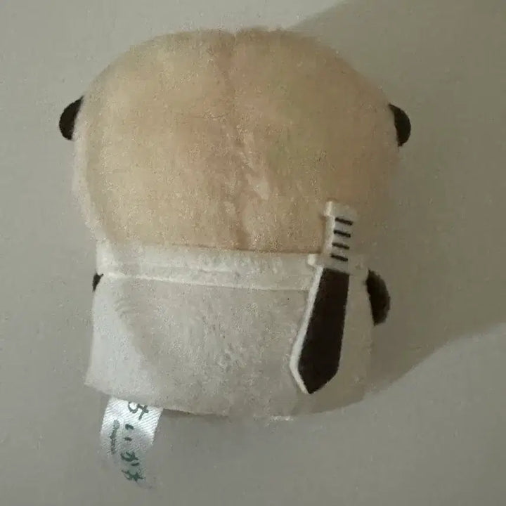 [BUNJANG] Chiikawa Racco Sitting Plush / 치이카와 앉은 누이 인형 랏코