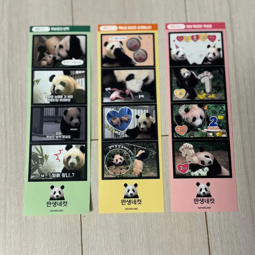 [BUNJANG] Fu Bao Early Signature Collection Bundle Set / 푸바오 초창기 시그 모음 (일괄판매)