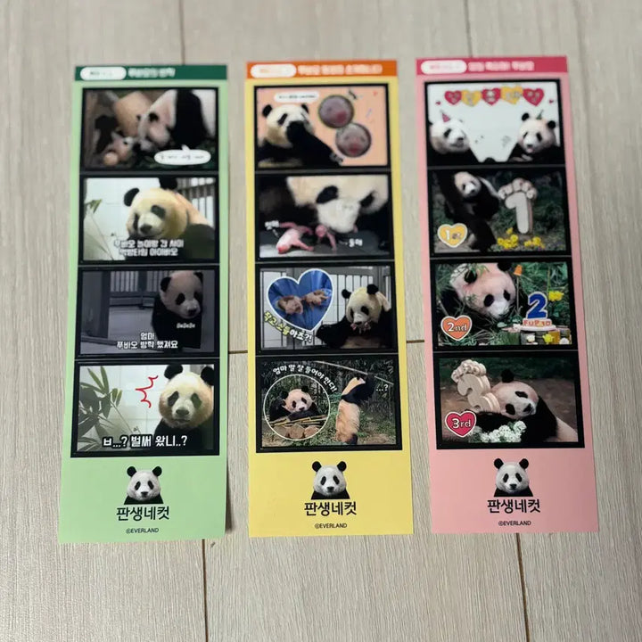 [BUNJANG] Fu Bao Early Signature Collection Bundle Set / 푸바오 초창기 시그 모음 (일괄판매)