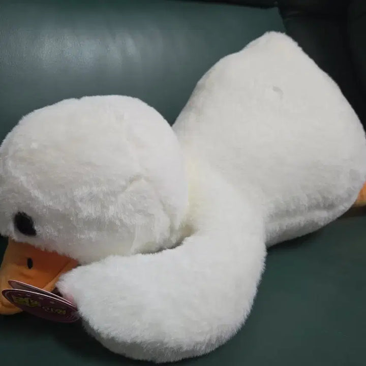 [BUNJANG] White Duck Plush Doll / 하얀색 오리 인형
