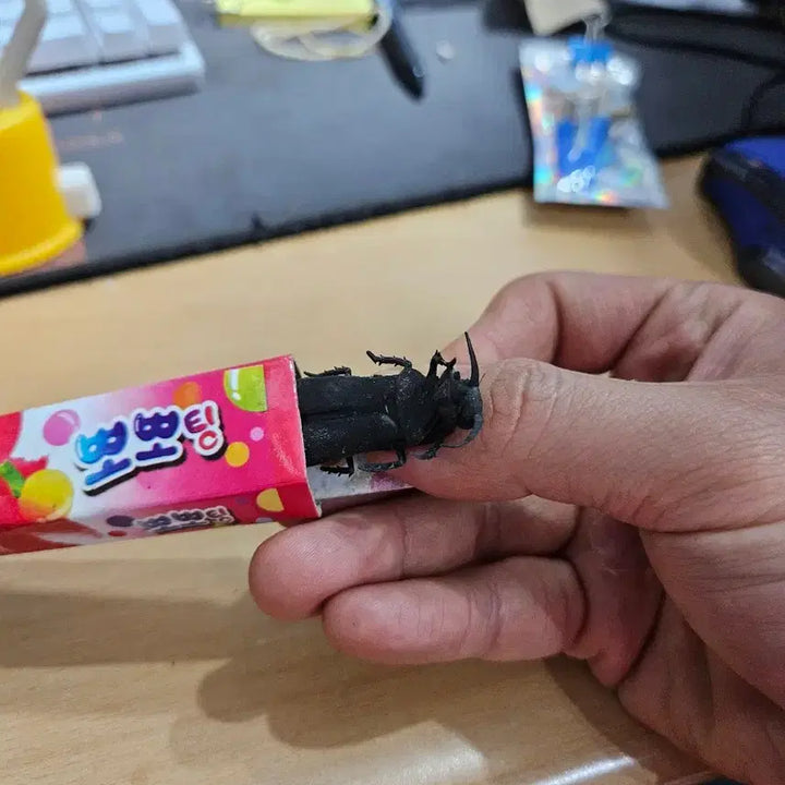 [BUNJANG] Vintage Gummy Worm Toy / 가짜 껌 장난감 벌레 장난감 