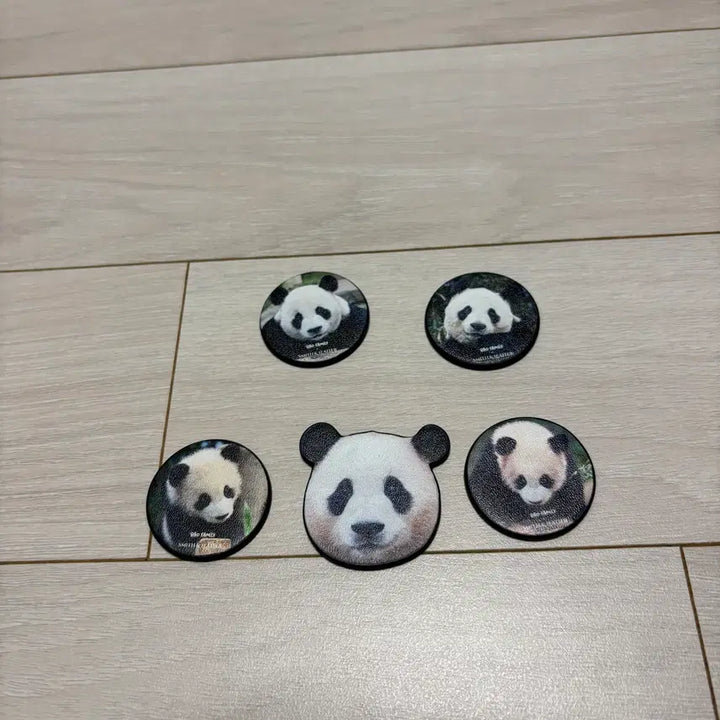 [BUNJANG] Bao Family Smith &amp; Leather Magnet Bundle Set / 바오패밀리 스미스앤레더 마그넷 + 바오패밀리 마그넷 = 일괄판매