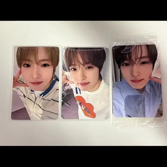 [BUNJANG] NCT-WISH Oto Love POB Member Set Bundle Sakuya / Nct wish 엔시티위시 오투럽 미공포 멤버별 세트 일괄 양도 사쿠야