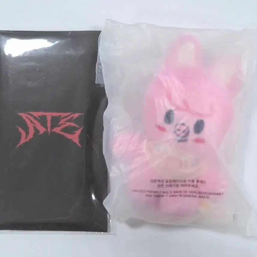 [BUNJANG] Stray Kids Changbin ATE Foldable Ticket Set / SKZ 스키즈 스키주 10cm 돼끼 창빈 ATE 접이식 티켓 세트