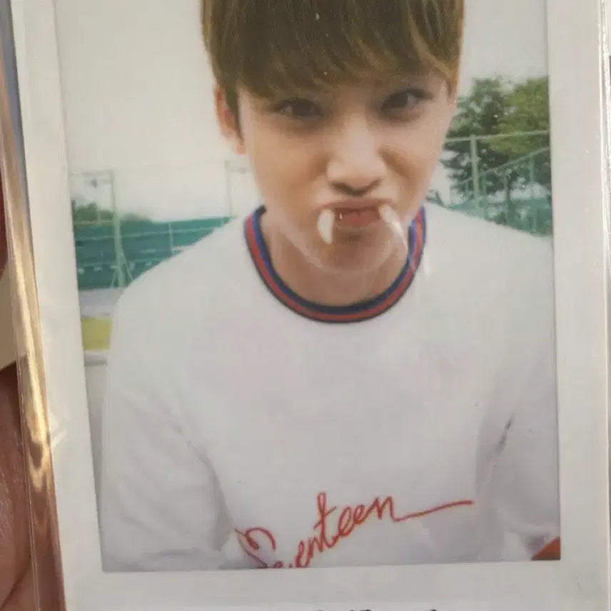 [BUNJANG] SEVENTEEN Mingyu Bundle Set Photocard / 세븐틴 민규 포카 일괄
