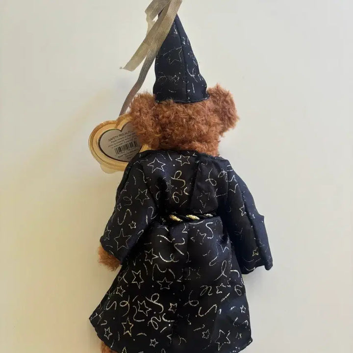 [BUNJANG] TY Wizard Bear Halloween Prop / TY인형 마법사곰 (할로윈소품) 택o