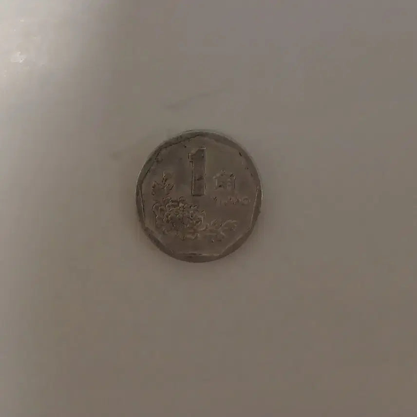 [BUNJANG] 1 Jiao Coin (1996) / 중국 1자오 1996