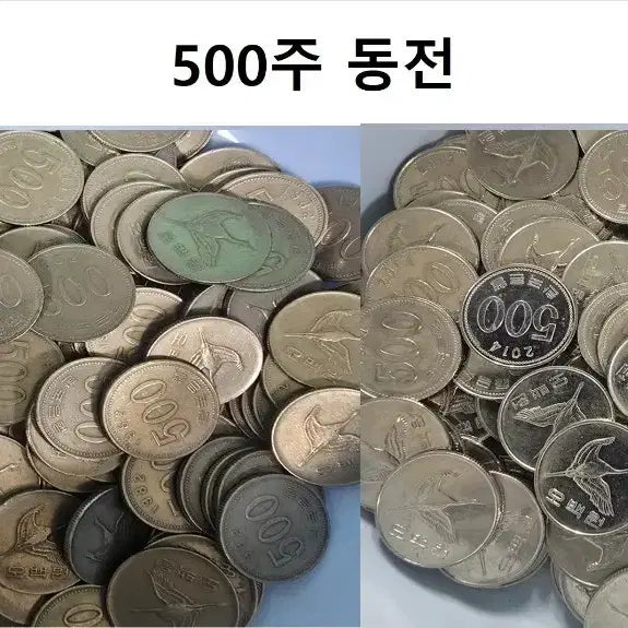[BUNJANG] 1982 &amp; 2014 500 Won Coin Collection / [500주 동전] 82,14년 개별수량 판매
