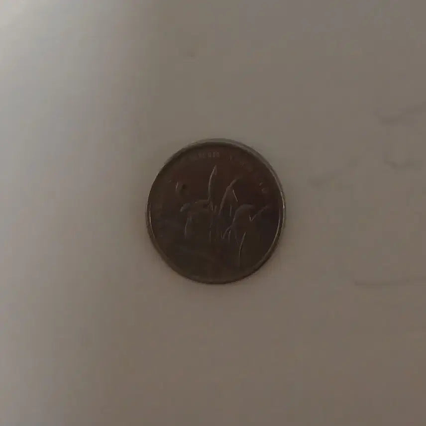 [BUNJANG] China 1 Jiao Coin 2007 / 중국 1자오 2007