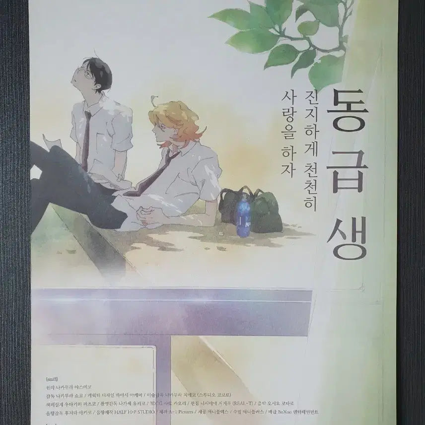 [BUNJANG] Classmates Movie Flyer A4 / 글을 읽고 결제하세요 동급생 영화 전단지 A4 글을 읽고 결제하세요