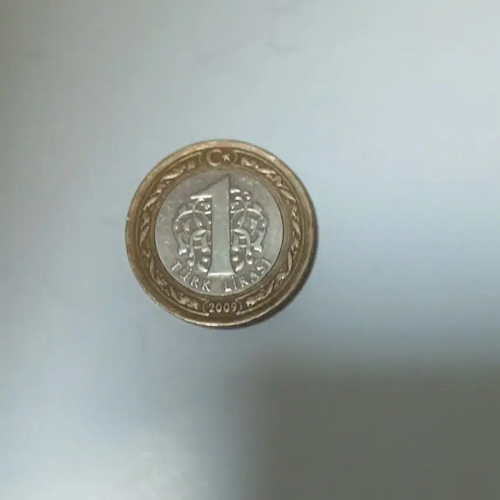 [BUNJANG] Turkey 1 Lira Coin 2009 / 터키 1리라 2009