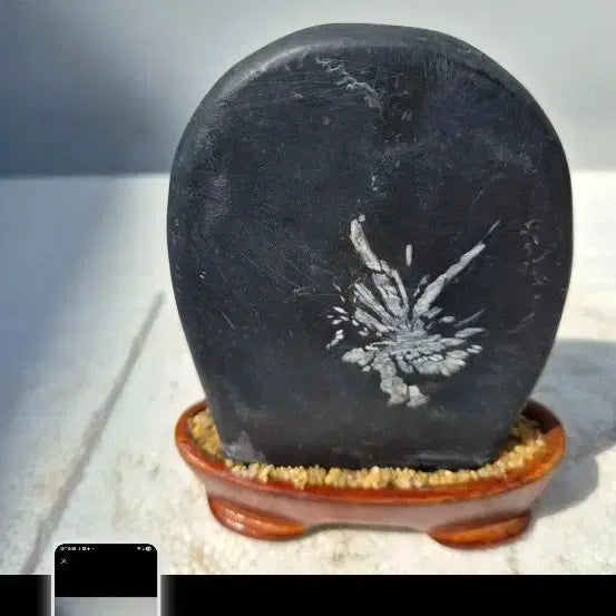 [BUNJANG] Chrysanthemum Stone Paperweight / 종이컵 사이즈비교국화수석 오석돌