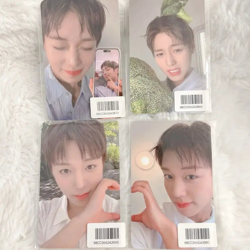 [BUNJANG] Park Jihoon 4-Photocard Set / 박지훈 포맨트 포카 4장 세트