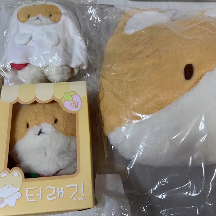 [BUNJANG] Bundle Set Keyring Doll / 백현 터래기 인형 5종 일괄 양도