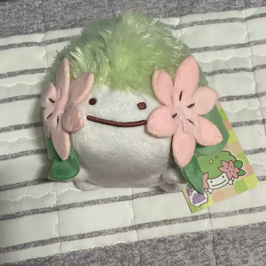 [BUNJANG] Pokemon Transform Ditto Series Medium Plush - Shaymin / 일본포센택o) 포켓몬 변신 메타몽 시리즈 중형인형 쉐이미