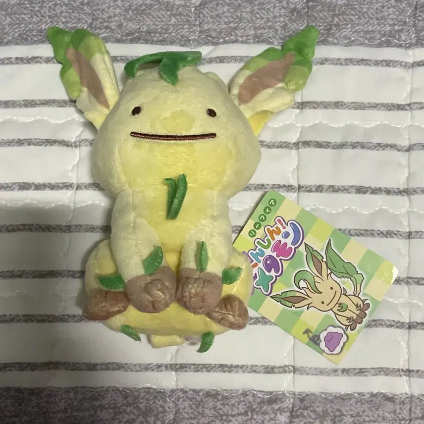 [BUNJANG] Pokemon Transform Ditto Series Medium Plush Leafeon / 일본포센택o) 포켓몬 변신 메타몽 리피아