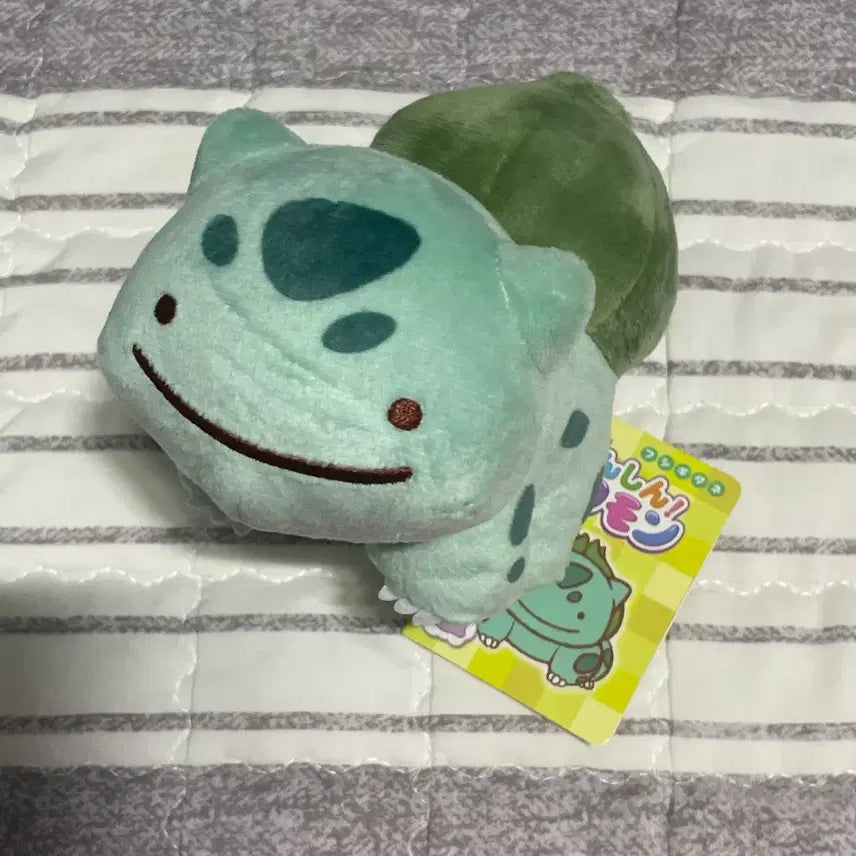[BUNJANG] Pokemon Center Japan Transformation Ditto Bulbasaur Plush / 일본포센택o) 포켓몬 변신 메타몽 이상해씨