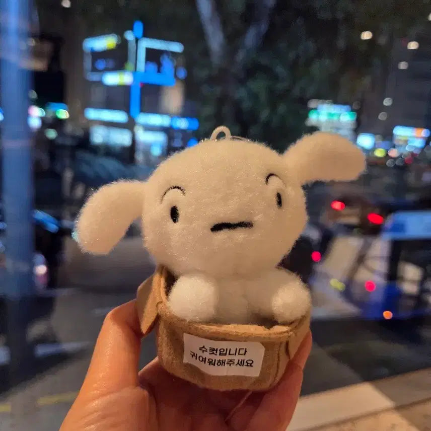 [BUNJANG] First Encounter White Dog Plush Keychain / 첫만남 흰둥이 인형 키링