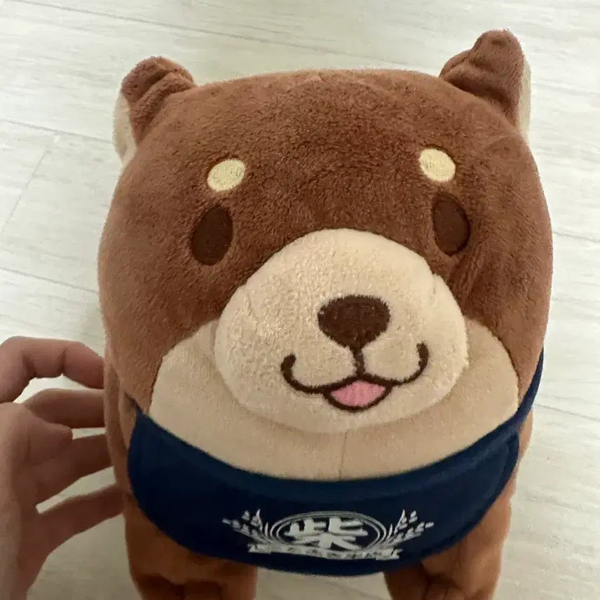 [BUNJANG] Cute Puppy Plush Toy / 강아지 인형