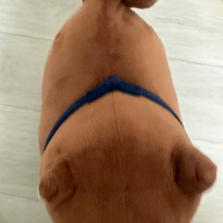 [BUNJANG] Cute Puppy Plush Toy / 강아지 인형