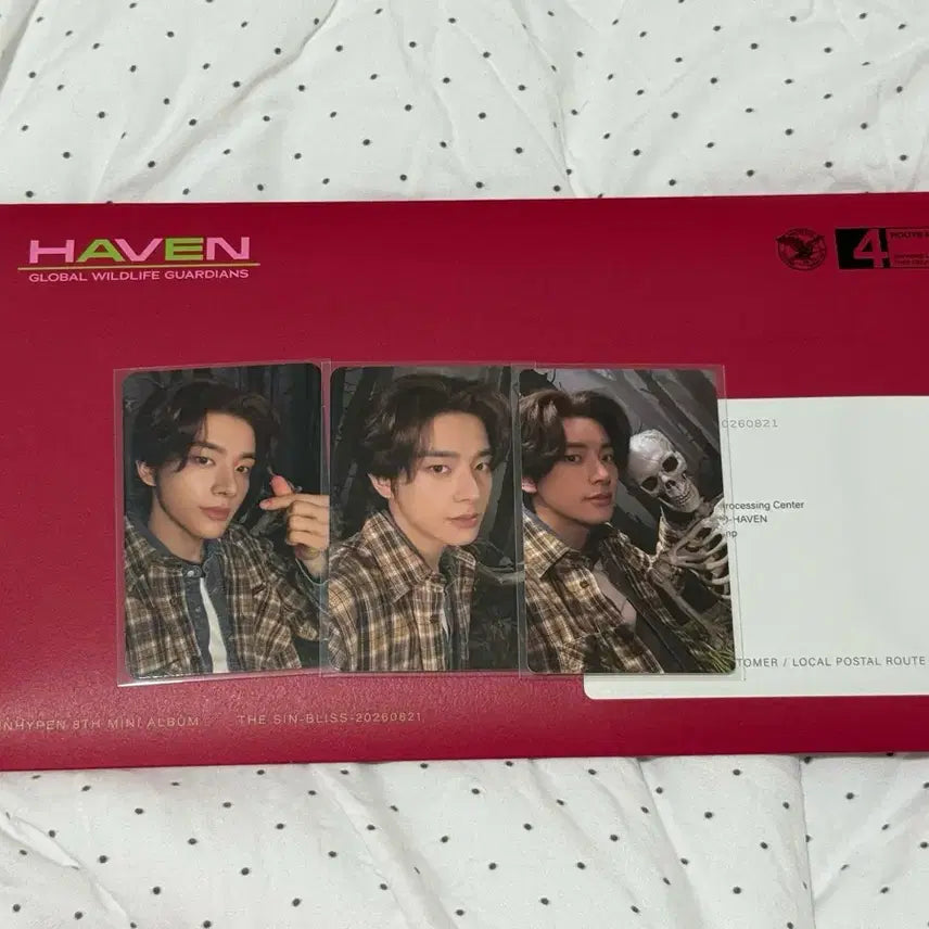 [BUNJANG] The Scene Belys Engine Ver. Jake Full Set (2 Standard + Weverse POB) / 더씬블리스 엔진반 제이크풀셋 (일반2+위버스특전)