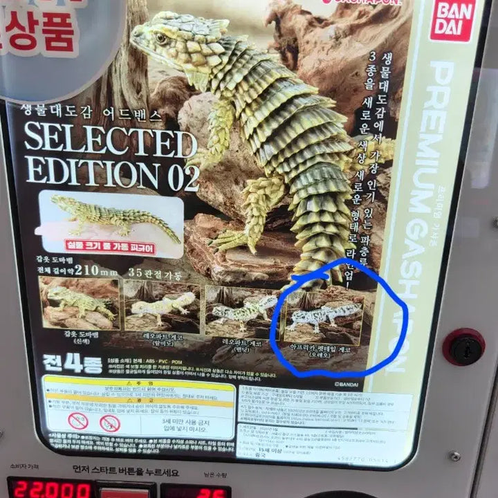 [BUNJANG] Advanced Biological Illustrations Book - Sealed / 생물대도감 어드밴스 미개봉