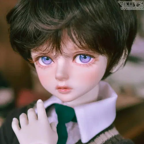 [BUNJANG] Luts Doll Kid Delf Bori Unsealed / (배송비포함+급처)루츠돌 키드델프 보리 미개봉 판매합니다.