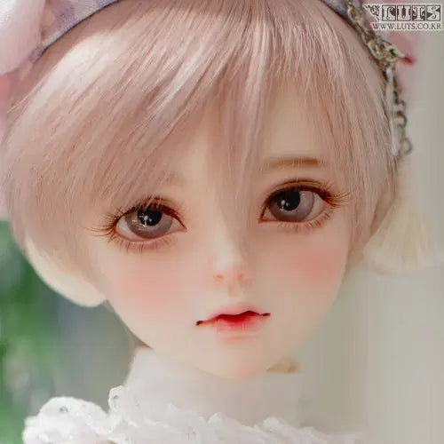 [BUNJANG] Rootsdoll Kid Delf Kai Unsealed / (배송비포함+급처)루츠돌 키드델프 카이 미개봉 판매합니다.