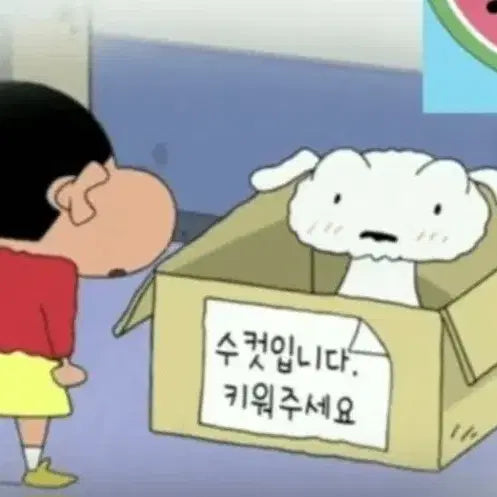 [BUNJANG] Shiro (White Dog) First Encounter Plush Doll / 흰둥이 첫만남 인형