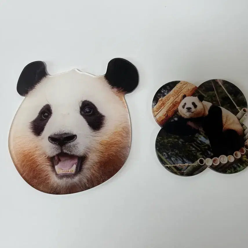 [BUNJANG] FuBao Acrylic Coaster / 푸바오 아크릴 코스터
