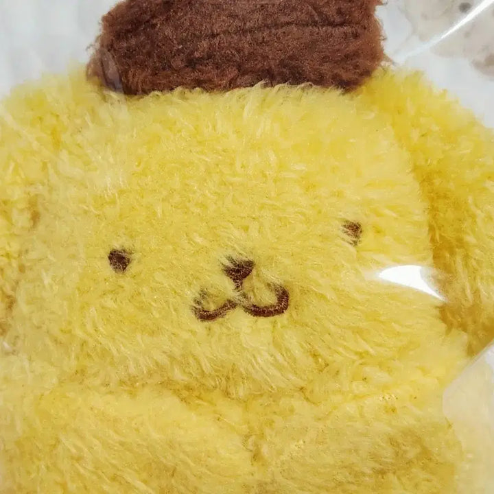 [BUNJANG] Sanrio Pompompurin Hugging Pocket Mascot Keychain / 할인! 산리오 끌어안는 주머니 폼폼푸린 마스코트 키링 팝니다.