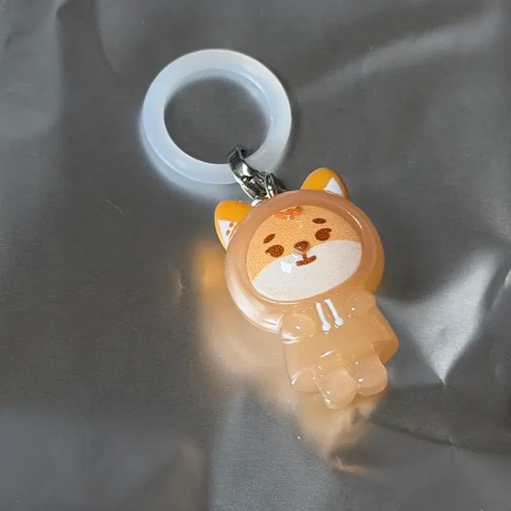[BUNJANG] Day6 Secret Mini Charm Mejilushi Ke / 데이식스 시크릿 미니참 메지루시 케