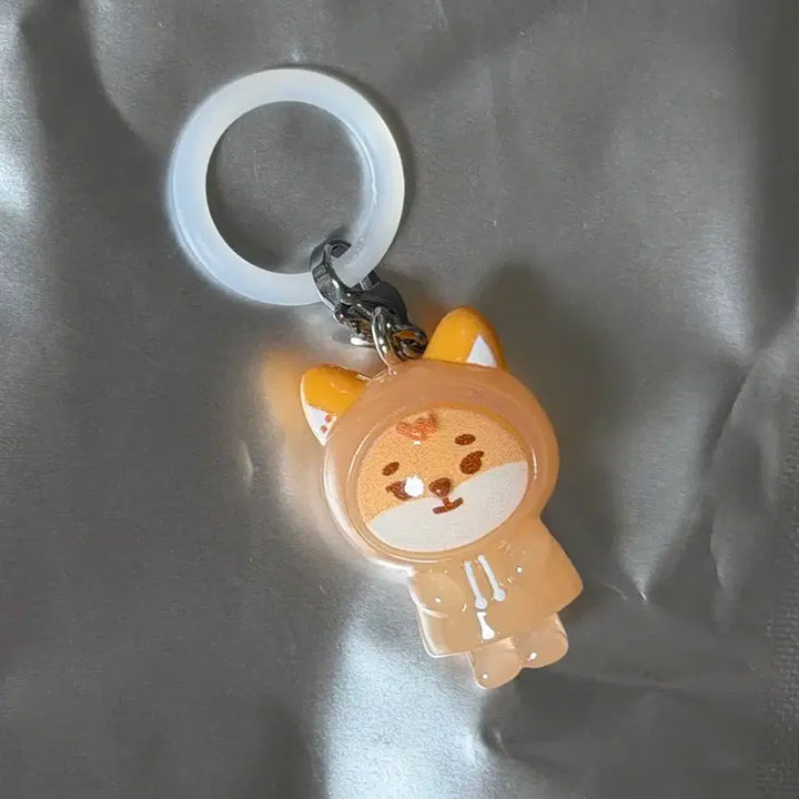 [BUNJANG] Day6 Secret Mini Charm Mejilushi Ke / 데이식스 시크릿 미니참 메지루시 케