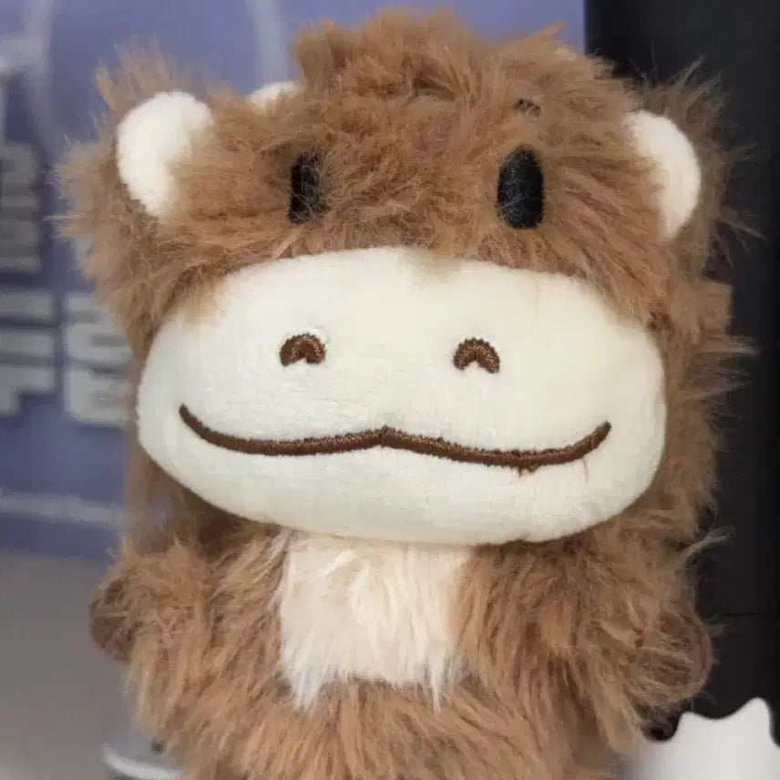 [BUNJANG] N.Flying Yoo Hweseung Doll Somangi / 엔플라잉 유회승 인형 소망이