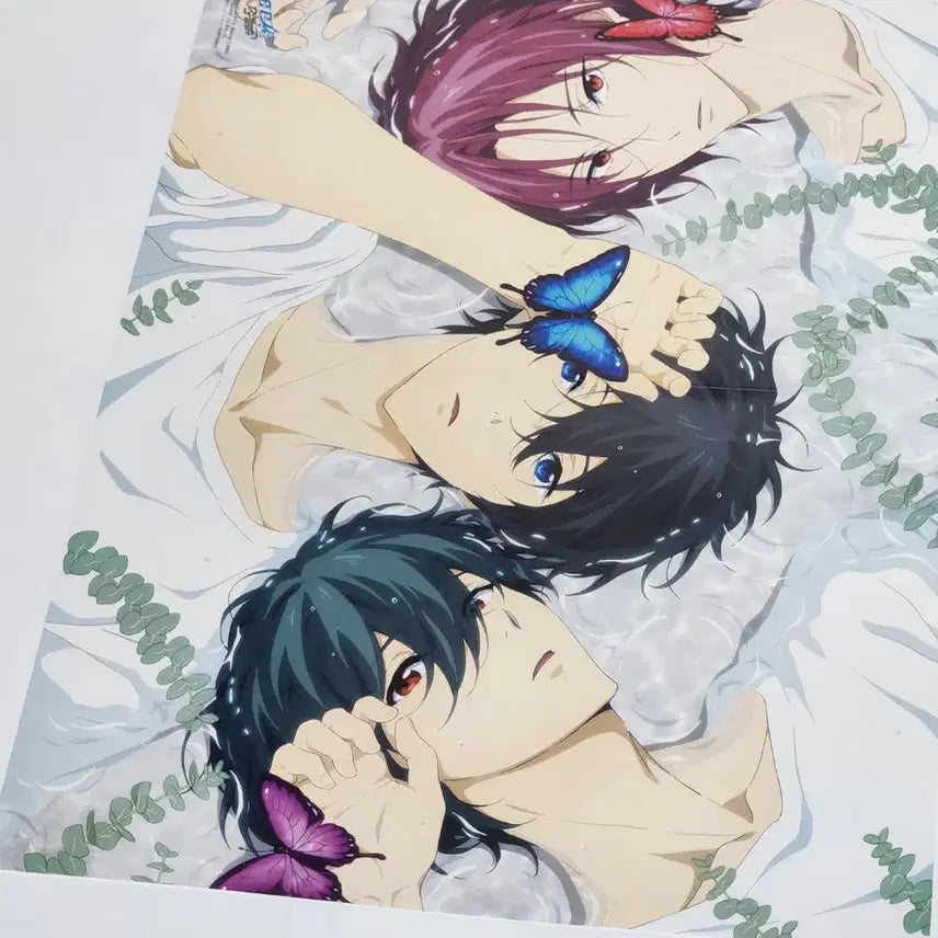 [BUNJANG] Free! Haruka Ikuya Rin Poster / free 프리 포스터 / 린 하루카 이쿠야 free! 하루