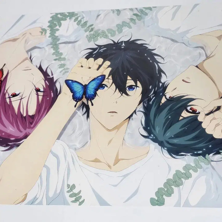 [BUNJANG] Free! Haruka Ikuya Rin Poster / free 프리 포스터 / 린 하루카 이쿠야 free! 하루