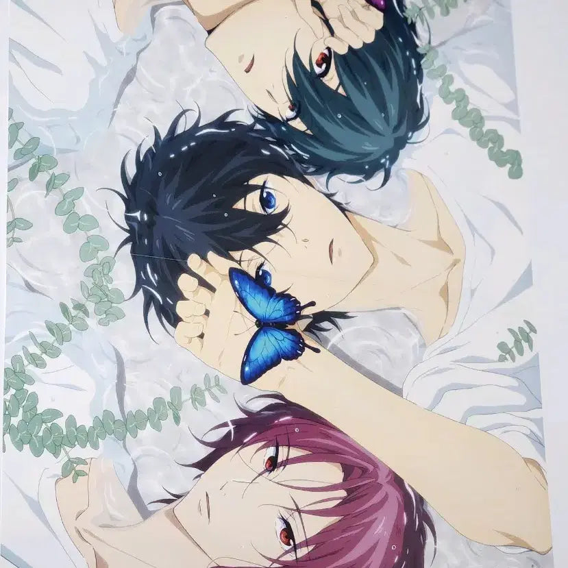 [BUNJANG] Free! Haruka Ikuya Rin Poster / free 프리 포스터 / 린 하루카 이쿠야 free! 하루