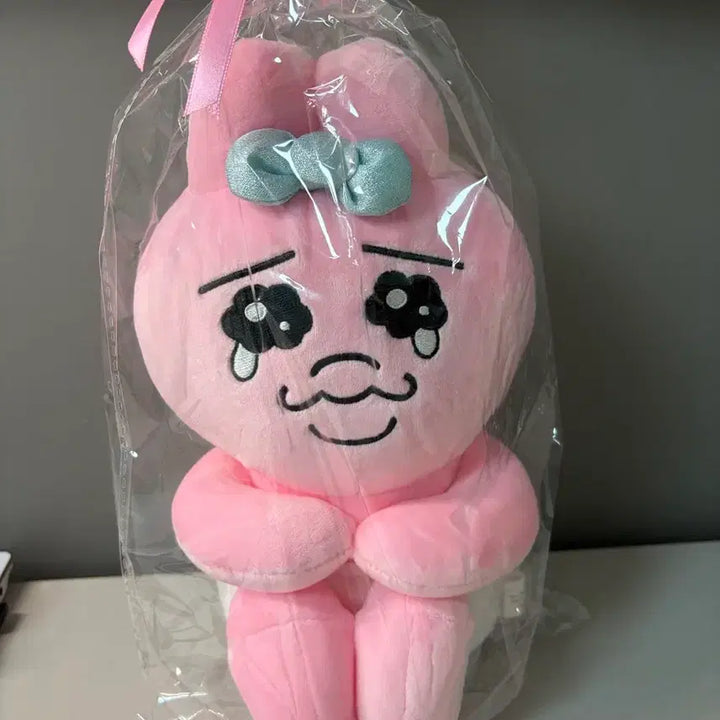 [BUNJANG] Pantsu Usagi Medium Plush (Sealed) / 빤쮸토끼 오빤쮸우사기 미개봉 택0 중형인형