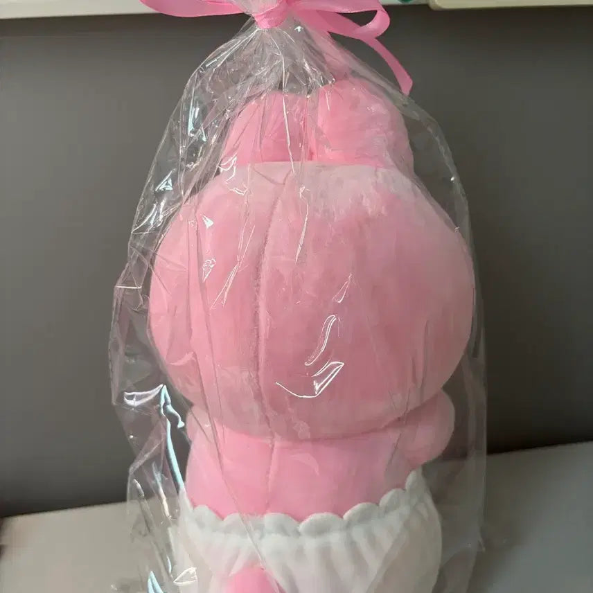 [BUNJANG] Pantsu Usagi Medium Plush (Sealed) / 빤쮸토끼 오빤쮸우사기 미개봉 택0 중형인형