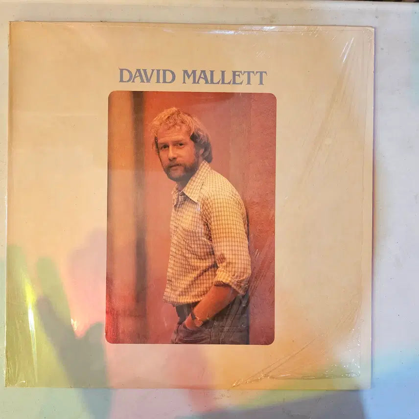 [BUNJANG] David Mallett 1978 Self-Titled Debut LP / 데이비드 말렛(David Mallett)이 1978년에 발표한 그의 역사적인 데뷔작이자 셀프 타이틀 정규 앨범 David Mallett의 오리지널 LP