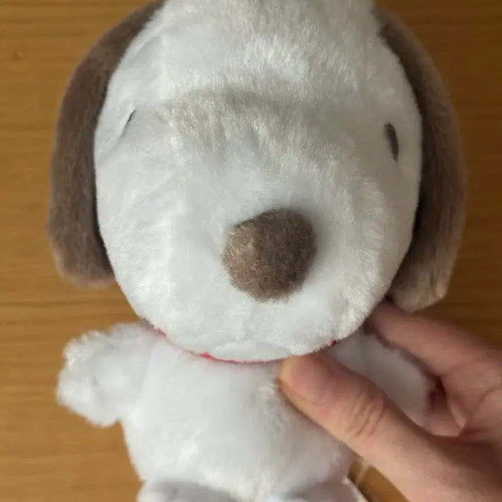 [BUNJANG] Universal Studios Peanuts Snoopy Fun Fun Friends Vol. 2 Figure / 스누피 유니버셜 스튜디오 펀펀프렌즈 2탄