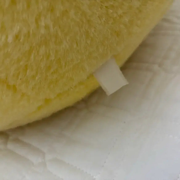 [BUNJANG] Pokemon Pikachu "Fatchu" Large Plush / 포켓몬 피카츄 뚱카츄 대형 인형