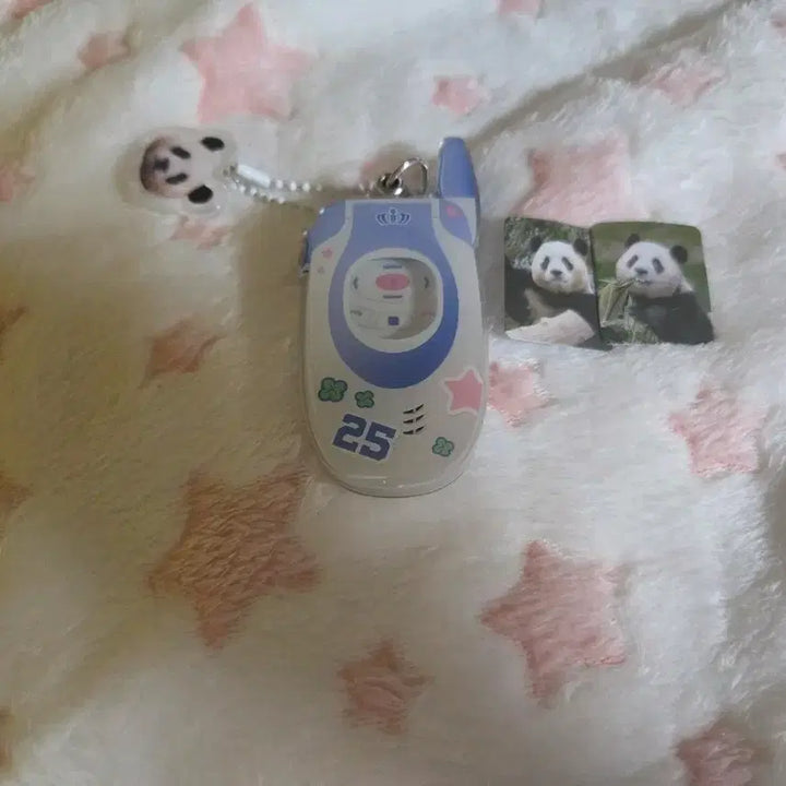 [BUNJANG] Fu Bao Family Fu Bao Keychain / 바오패밀리 푸바오 키링 판매합니다 급처