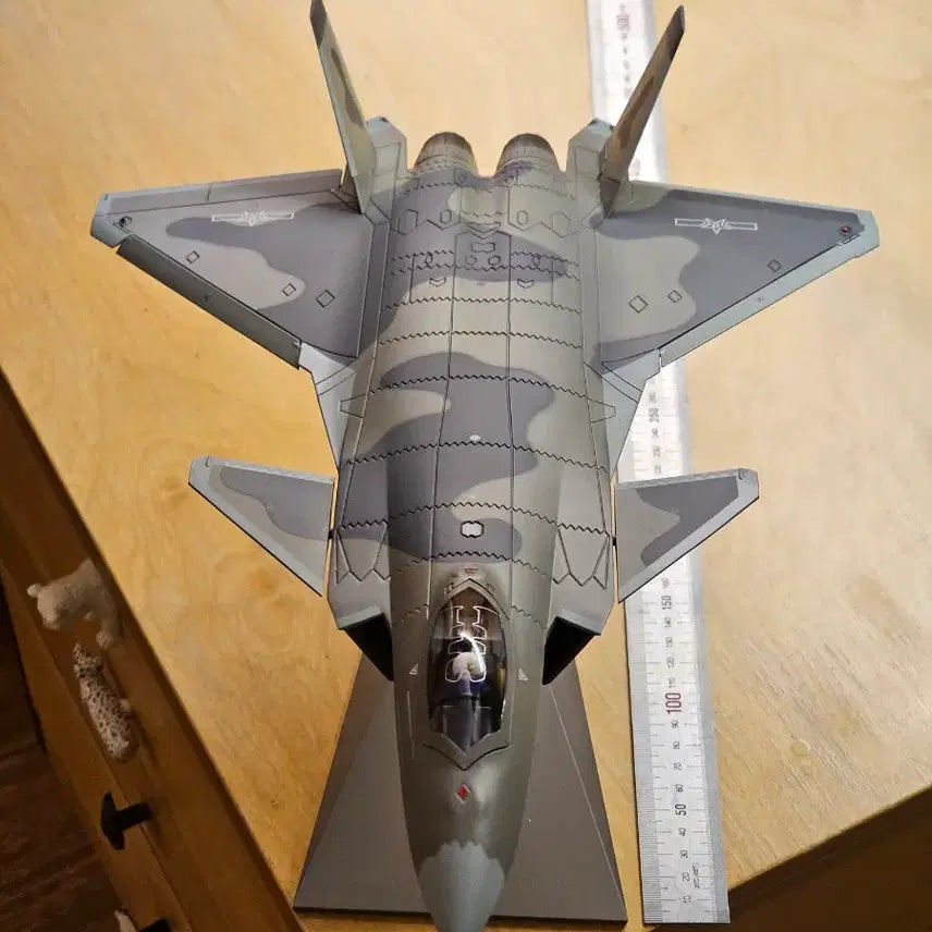 [BUNJANG] J-20 Stealth Fighter 1/48 Diecast Model / J-20 스텔스 전투기 1/48 다이캐스트 모델