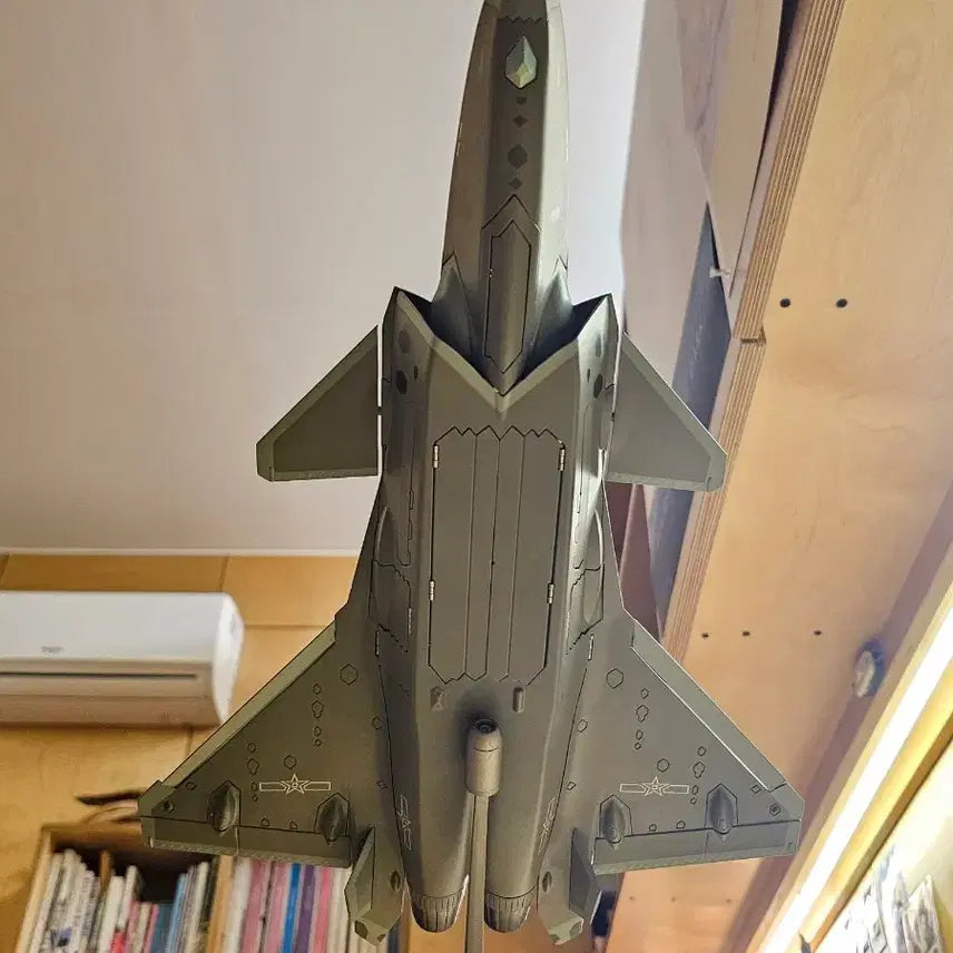 [BUNJANG] J-20 Stealth Fighter 1/48 Diecast Model / J-20 스텔스 전투기 1/48 다이캐스트 모델