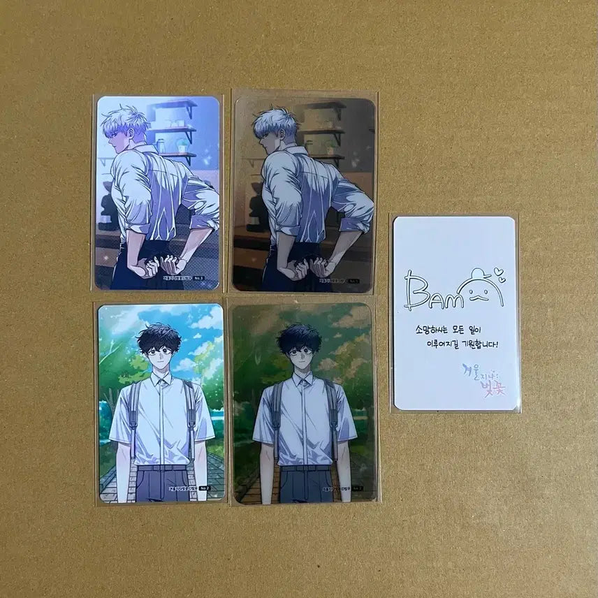 [BUNJANG] Winter Passed Cherry Blossoms Photocard Bundle Set / 웹툰샵 겨지벚 겨울지나벚꽃 포토카드 일괄